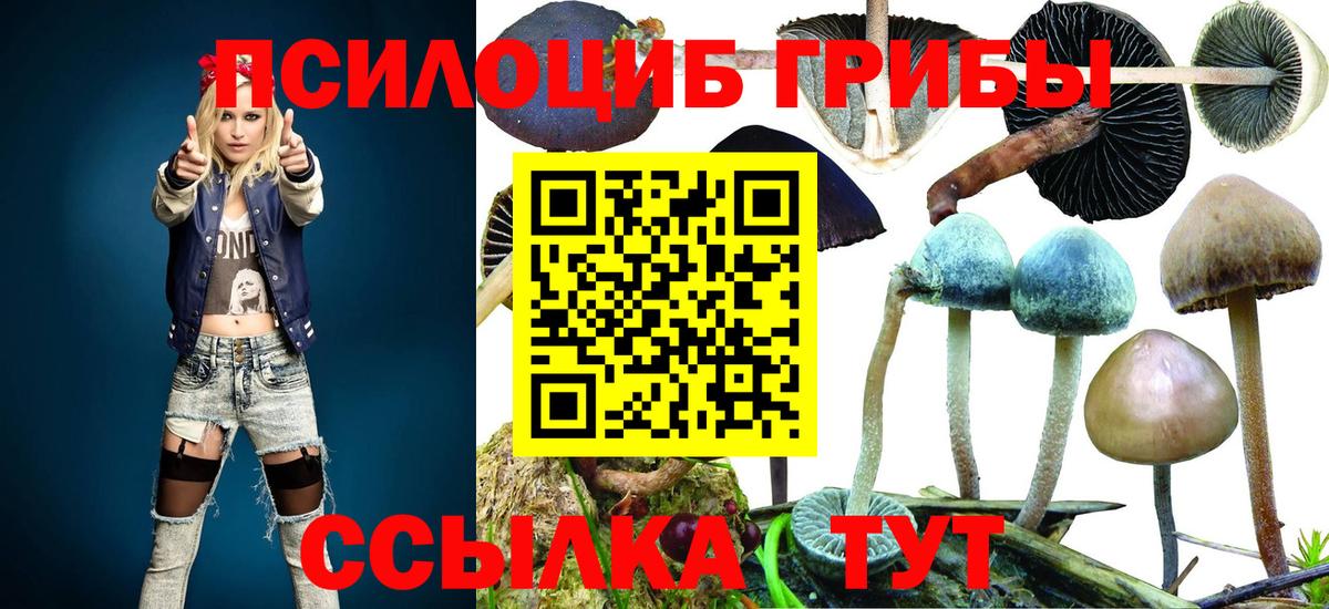 Псилоцибиновые грибы GOLDEN TEACHER Прокопьевск